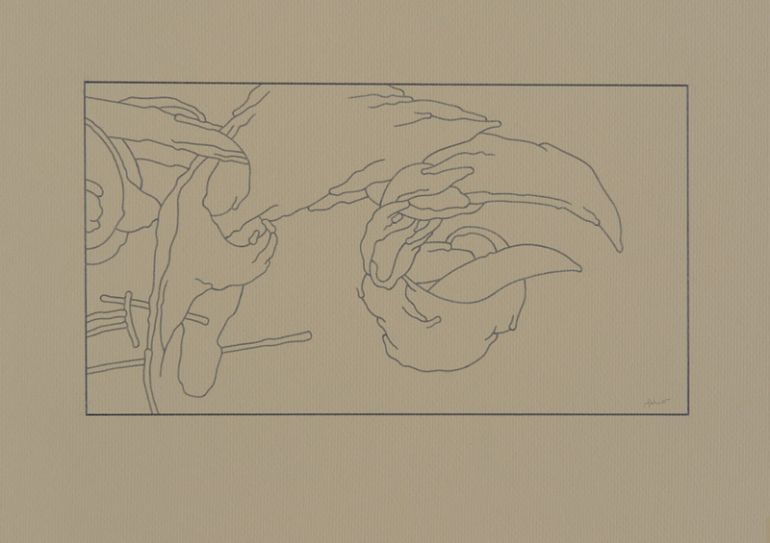 30 ptaków Simurga; 1996; ołówek, karton; 60x42